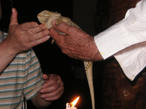 s_A_PICT0121.jpg